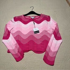 Ming Wang Vibrant Pink Chevron Knit Sweater - medium